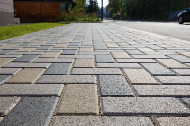 Best Local Driveway Pavers  in Westminster, CO