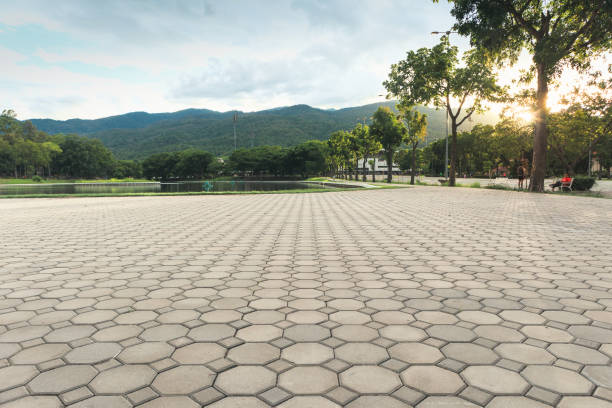 Best Custom Driveway Pavers  in Westminster, CO