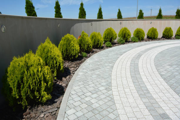 Reasons to Select Us for Your Driveway Paving Requirements in Westminster, CO
